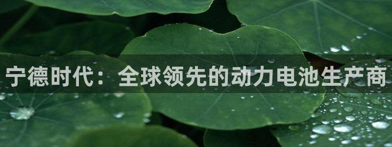 sunbet首页登录入口