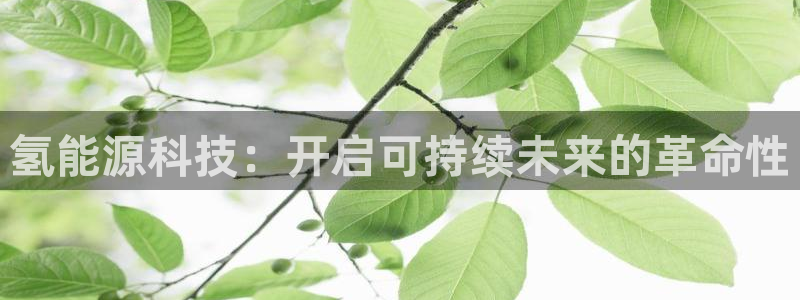 sunbet手机网页版下载