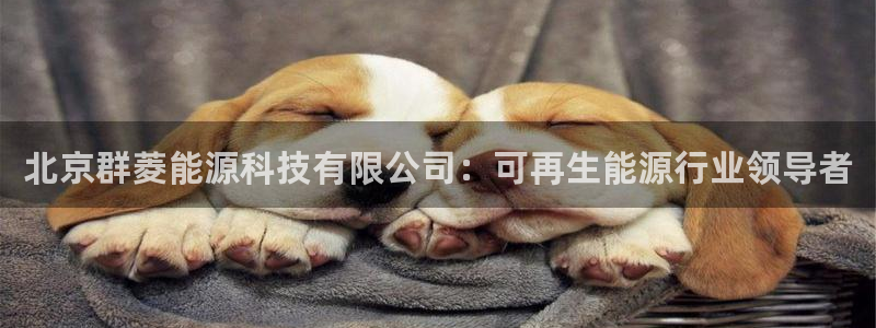 sunbet手机版官网下载