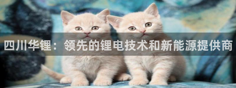 申博官方网站