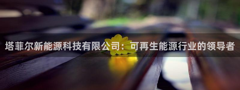 sunbet申搏官方网站