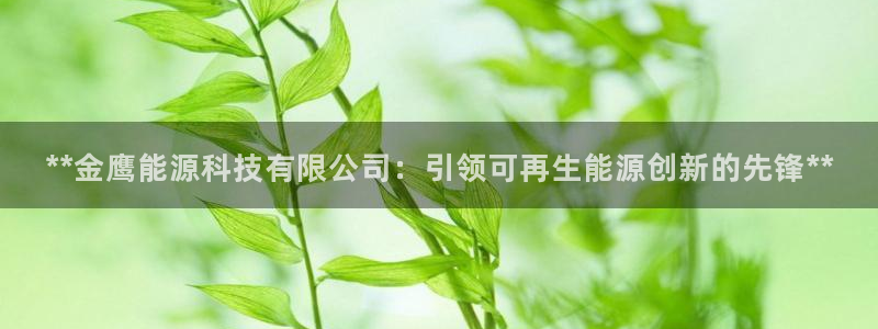 sunbet官网手机版
