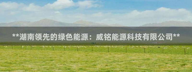 sunbet程序