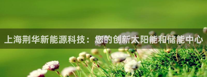 sunbet官网手机版登录