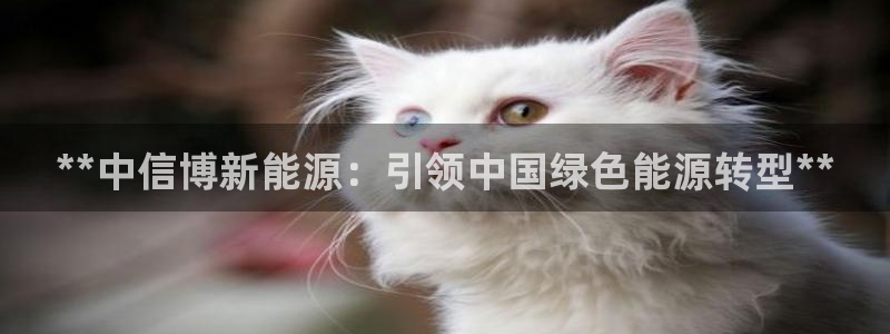 sunbet手机网页版下载