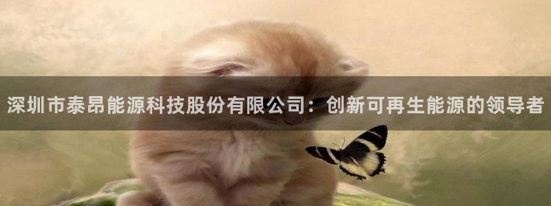 sunbet官网开户登录手机版