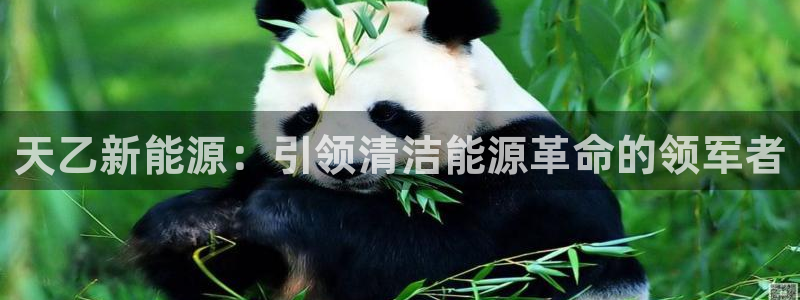 sunbet英语翻译