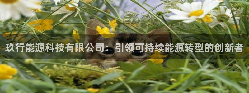 申慱sunbet版app
