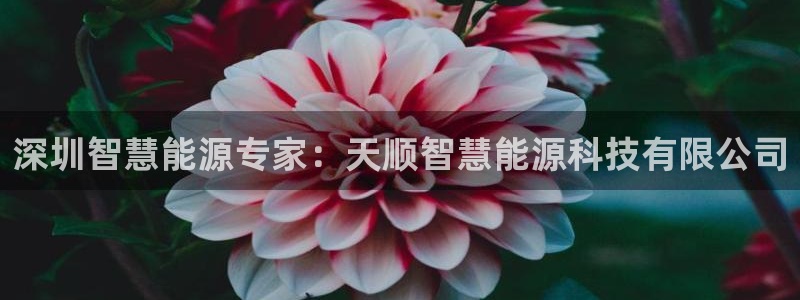 sunbet申搏官方网站