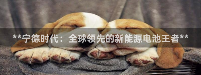 进入sunbet官网手机版登陆