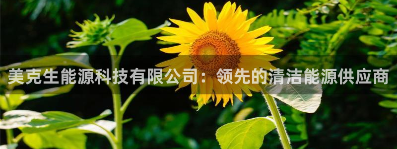 申博官网手机版下载app