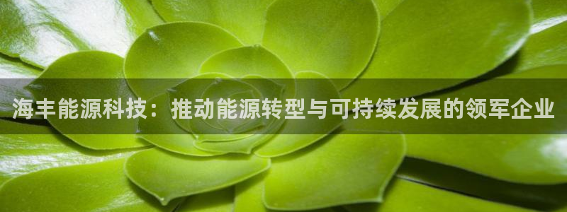申博手机网址