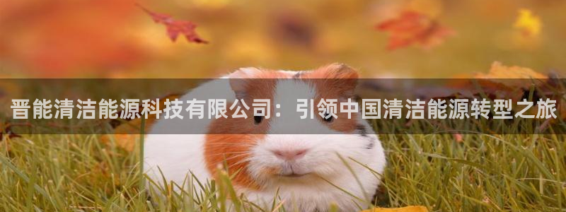 sunbet官网手机版