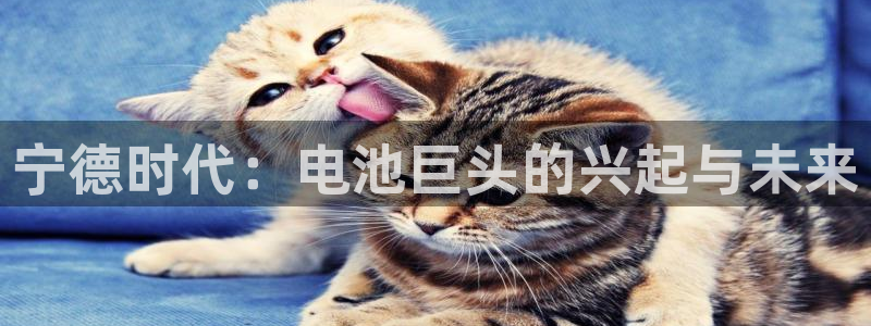 sunbet安卓下载