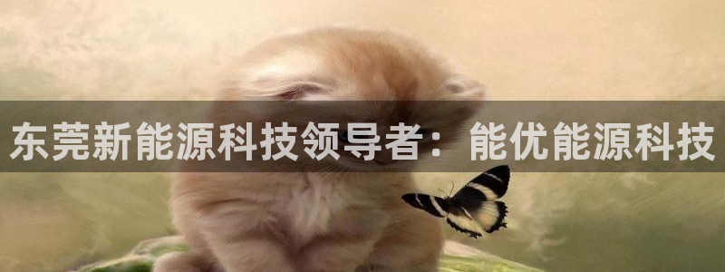 sunbet手机网页版下载