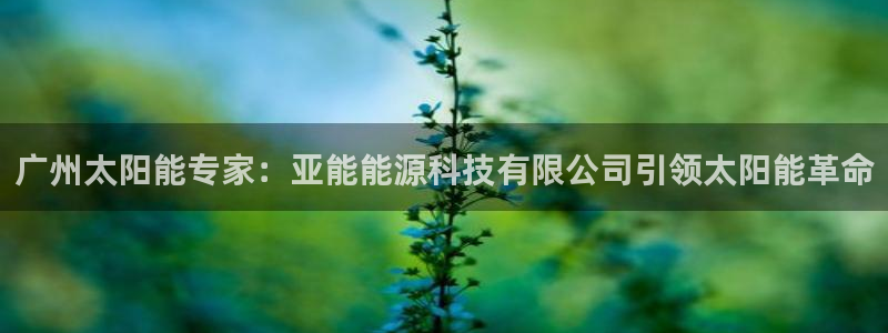 下载申搏sunbet并安装app