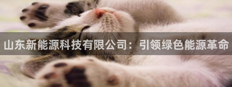 申博官方网站手机版下载
