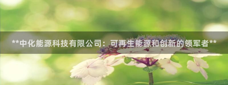 sunbet手机网页版本