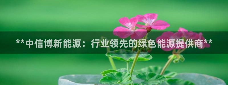 sunbet手机版登录