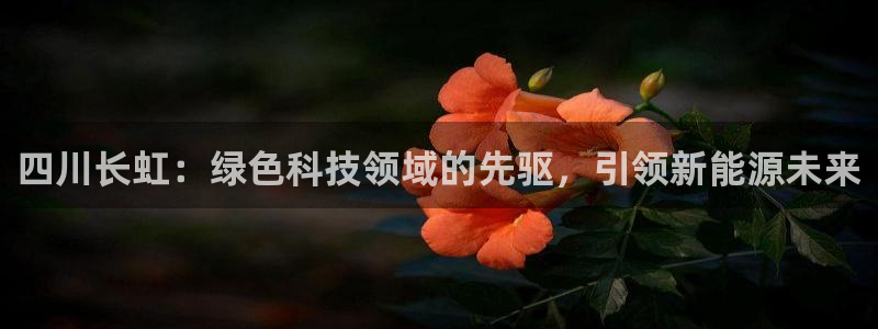 sunbet游戏最新版