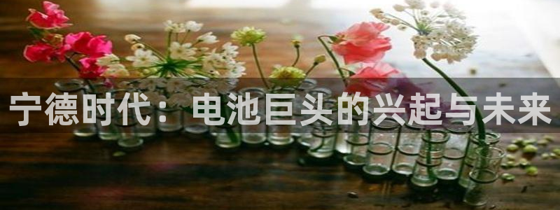 申博官网手机客户端