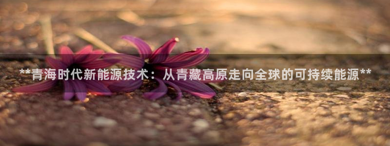 sunbet游戏最新版