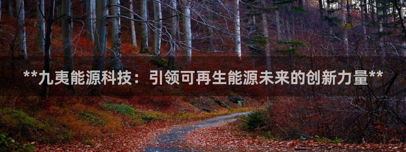 sunbet最新消息