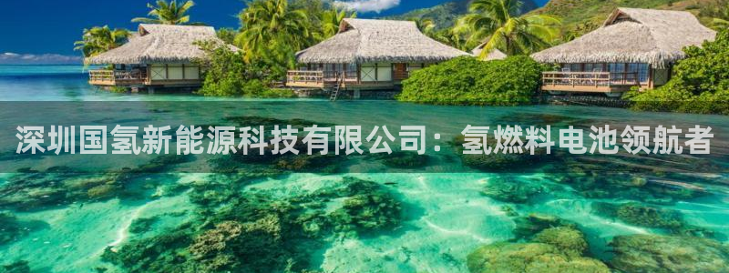 sunbet手机网页版下载