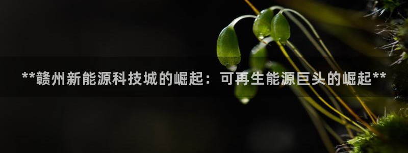 sunbet申搏app下载
