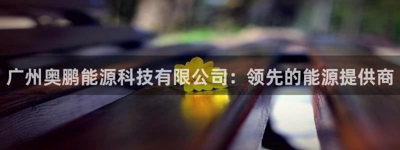 sunbet手机app版