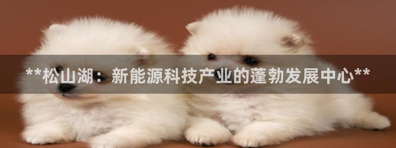 sunbet首页登录入口