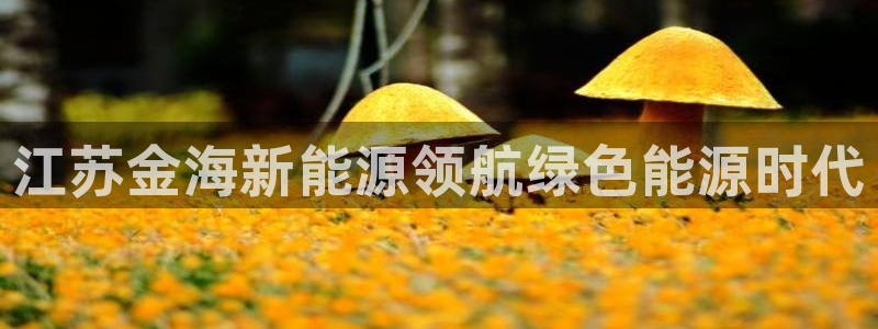 sunbet安卓下载