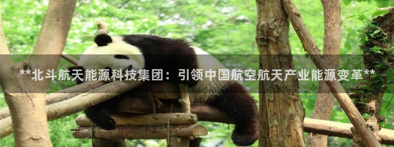 申博手机版官网