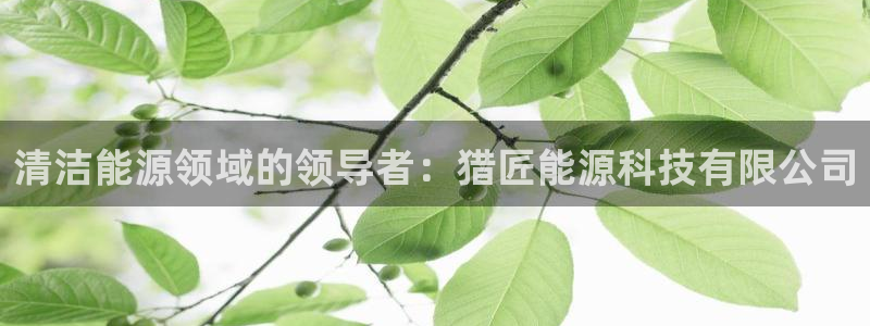 sunbet手机端