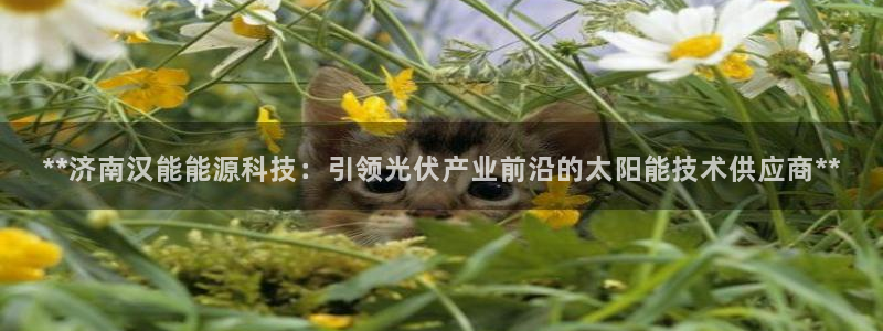 sunbet申搏地址