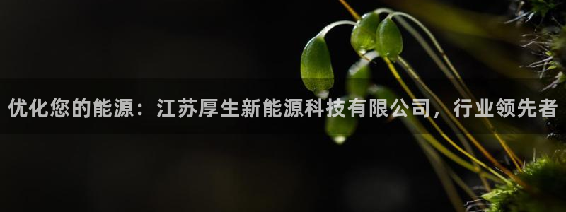 sunbet手机端