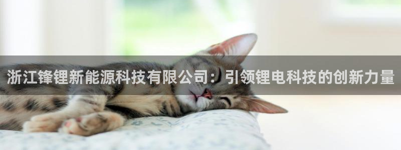 sunbet游戏最新版