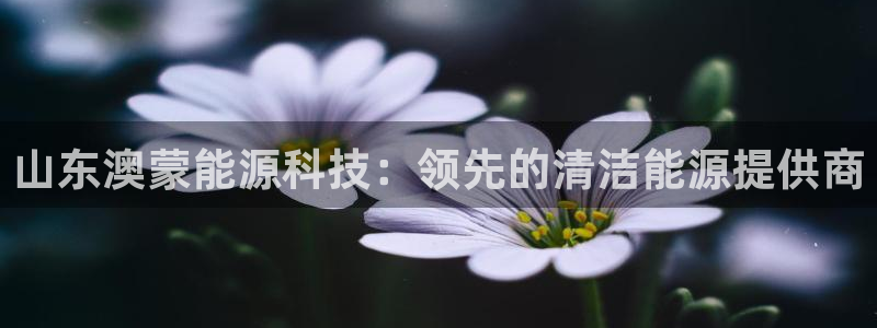 sunbet最新登陆