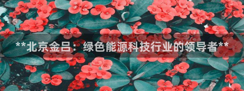 sunbet手机网页版下载