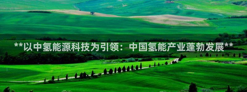sunbet官网代理下载