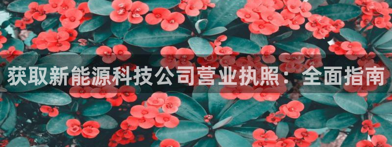 sunbet官网开户登录手机版