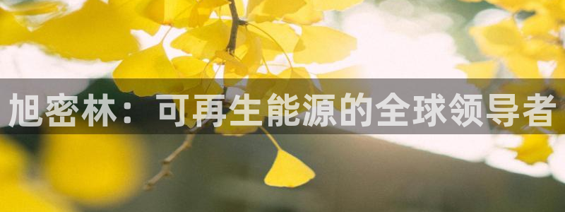 申博手机网址