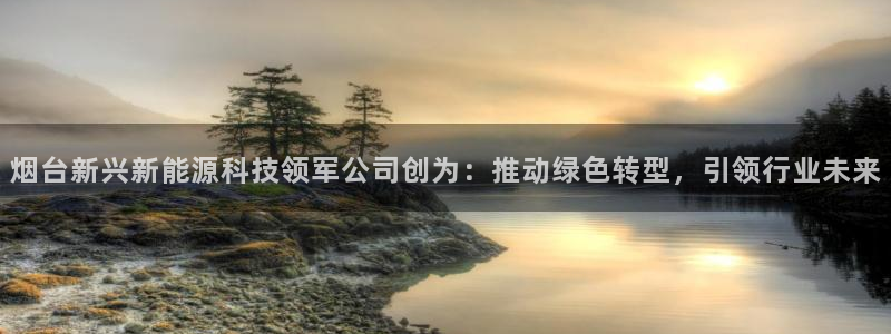 申博官网电脑版下载