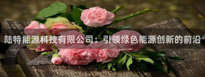 sunbet官网登录首页