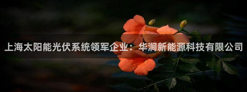 sunbet线上真人手机版