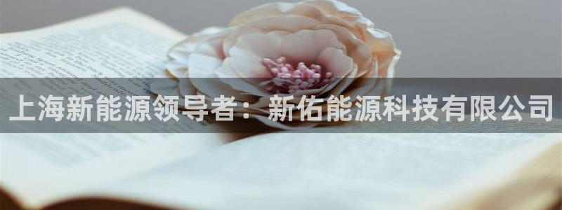 sunbet游戏地址