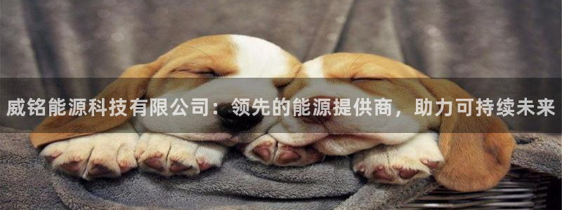 sunbet游戏最新版