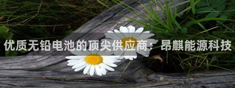 sunbet程序