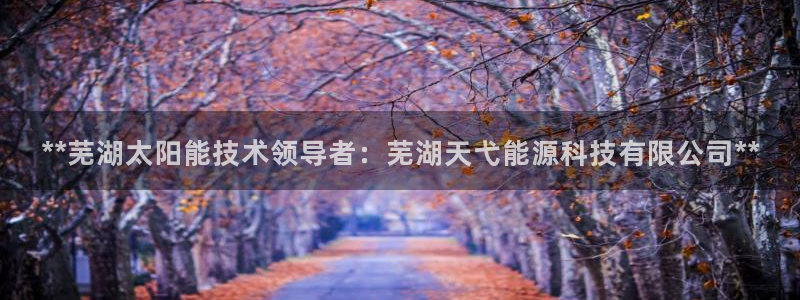sunbething怎么读