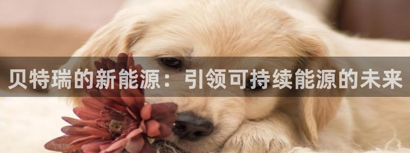 sunbet手机网页版